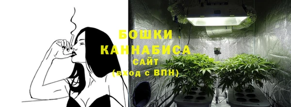 экстази Нея
