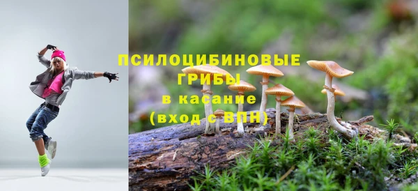 не бодяженный Надым