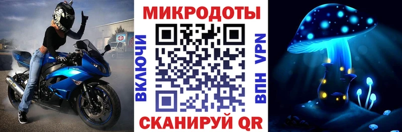 Купить  Зеленоградск  Псилоцибиновые грибы Cubensis 